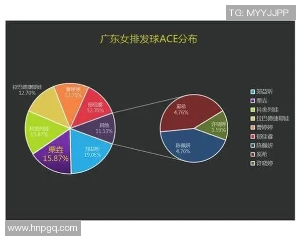 武汉排球队的独特节奏与战术解析深度探讨排球魅力与团队协作