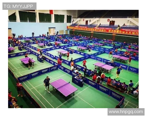 深圳乒乓球队状态对比深度解析及未来发展趋势展望